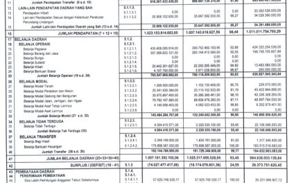 Laporan Keuangan Pemerintah Daerah Kabupaten Lampung Barat LKPD (Audited) TA 2021