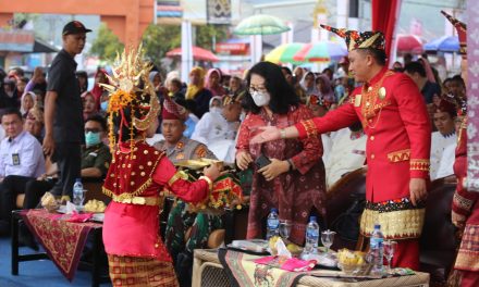 Bupati Parosil hadiri Karnaval Kemilau Budaya  Bumi Sekala Bekhak
