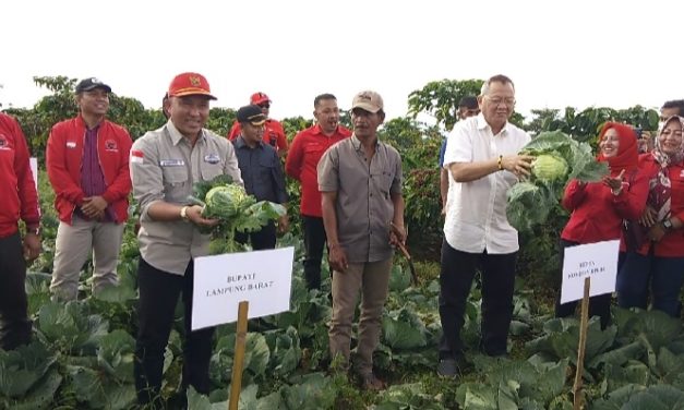 Bupati Parosil lakukan dialog terkait pengembangan kopi dengan ketua DPR RI dan Direktorat Kementerian Pertanian