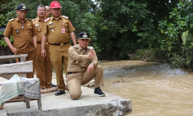 Sejumlah pekon di Lambar terkena bencana banjir, Bupati Parosil Tinjau secara langsung