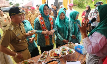 Terima kunker TP PKK Provinsi Lampung, Bupati Parosil harap menjadi momentum bagi masa depan anak yang cerdas
