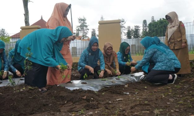 Gerakan tanam cabai nasional, Ketua TP PKK Lambar tanam 100 bibit cabai