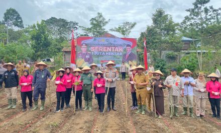 Dukung Swasembada Pangan 2025, Pj. Bupati Nukman Lakukan Penanaman Jagung Serentak Satu Juta Hektar.